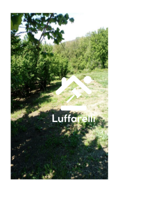 Immagine di TERRENI LOCALITA’ SELVA MALANA – SORIANO NEL CIMINO (VT)