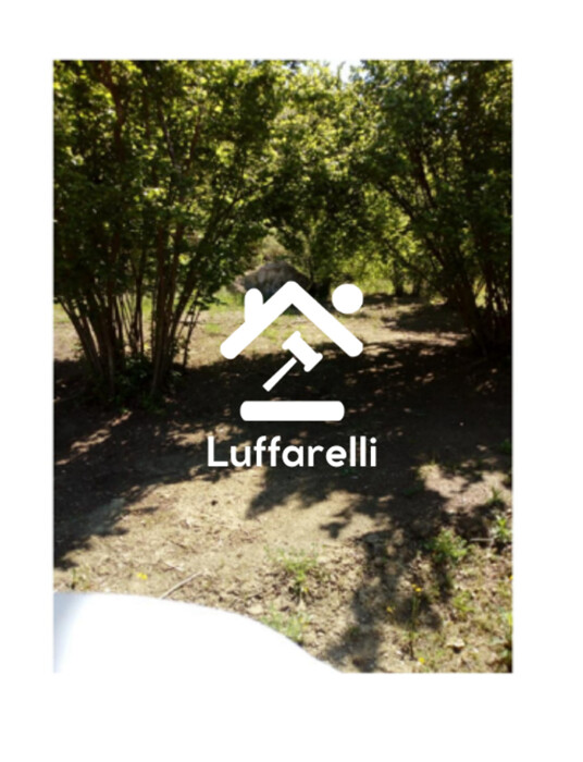 Immagine di TERRENI LOCALITA’ SELVA MALANA – SORIANO NEL CIMINO (VT)