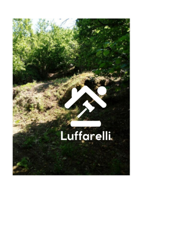 Immagine di TERRENI LOCALITA’ SELVA MALANA – SORIANO NEL CIMINO (VT)