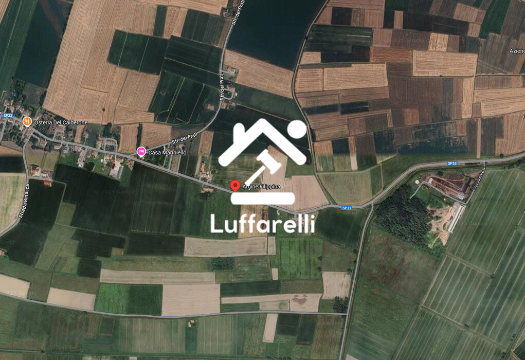 Immagine di CAPANNONE INDUSTRIALE  STRADA ARGINE FILIPPINA – SISSA TRECASALI (PR)