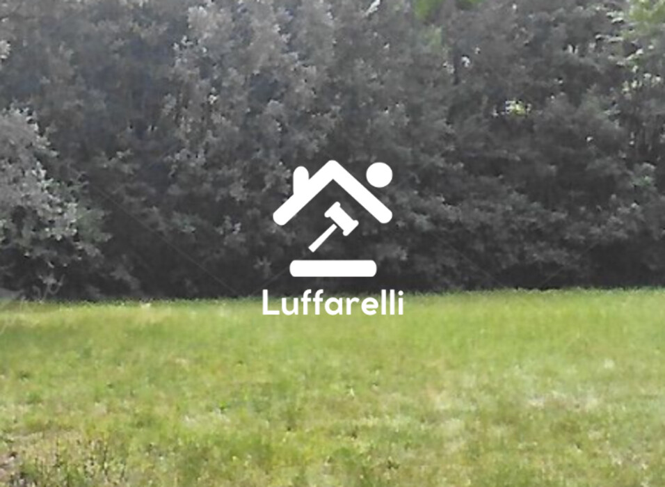Immagine di TERRENO STRADA CONSORZIALE SNC – NIBIONNO