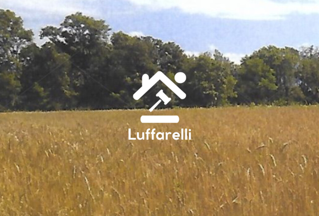 Immagine di TERRENO STRADA CONSORZIALE SNC – NIBIONNO