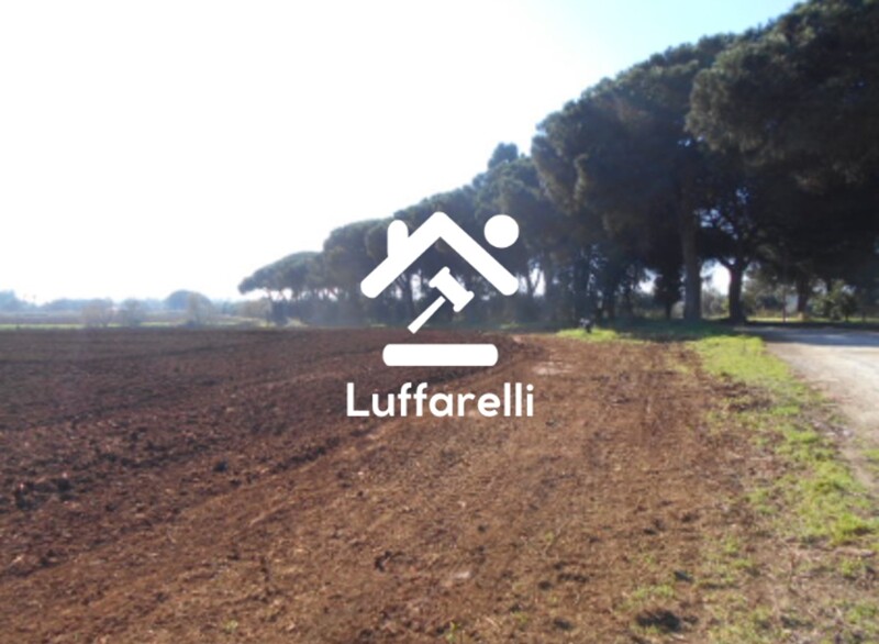 Immagine di TERRENO AGRICOLO PRATIC DI COPPOLA – LATINA
