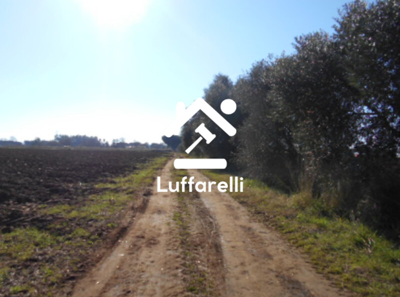 Immagine di TERRENO AGRICOLO PRATIC DI COPPOLA – LATINA