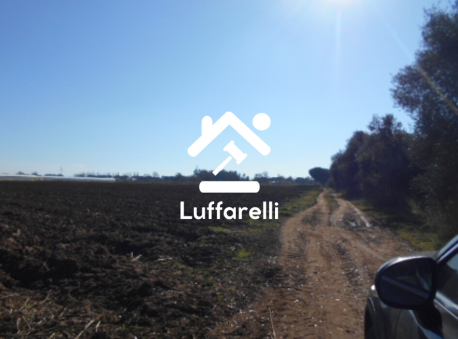 Immagine di TERRENO AGRICOLO PRATIC DI COPPOLA – LATINA