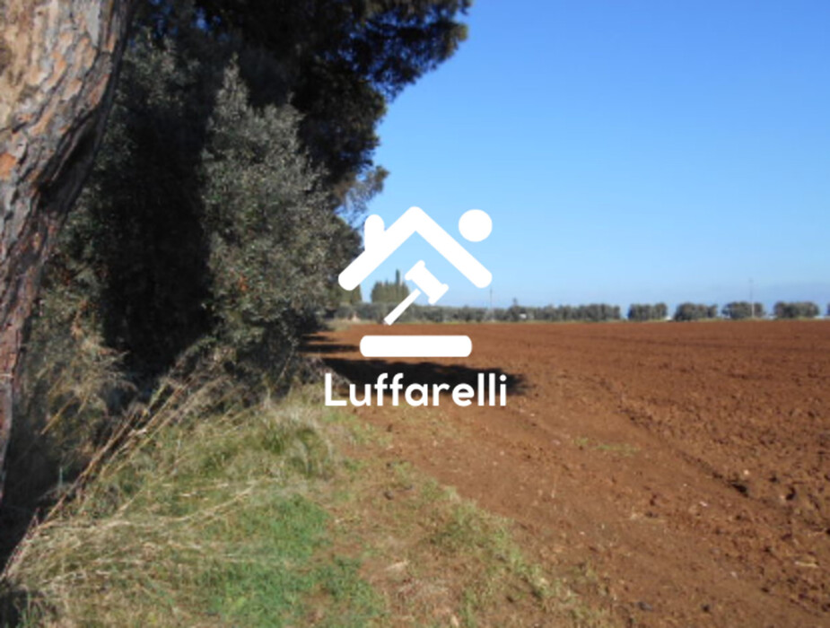 Immagine di TERRENO AGRICOLO PRATIC DI COPPOLA – LATINA