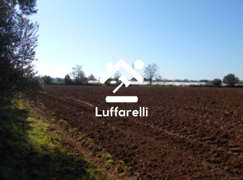 Immagine di TERRENO AGRICOLO PRATI DI COPPOLA – LATINA