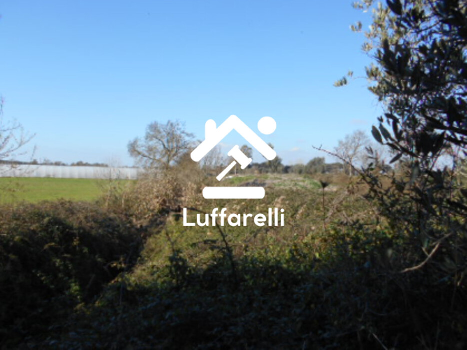 Immagine di TERRENO AGRICOLO PRATI DI COPPOLA – LATINA