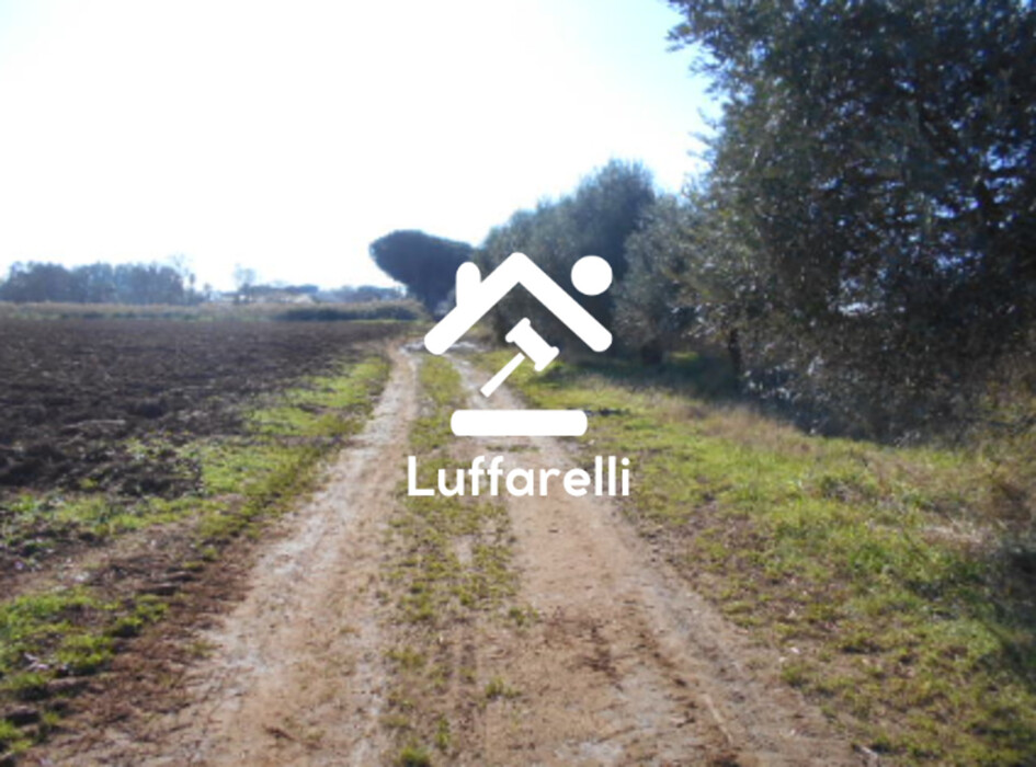 Immagine di TERRENO AGRICOLO PRATI DI COPPOLA – LATINA