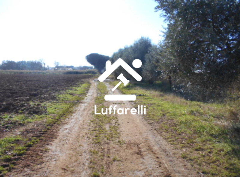 Immagine di TERRENO AGRICOLO PRATI DI COPPOLA – LATINA