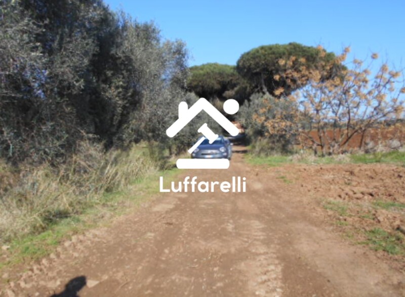 Immagine di TERRENO AGRICOLO PRATI DI COPPOLA – LATINA