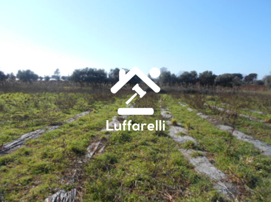 Immagine di TERRENO AGRICOLO PRATI DI COPPOLA – LATINA