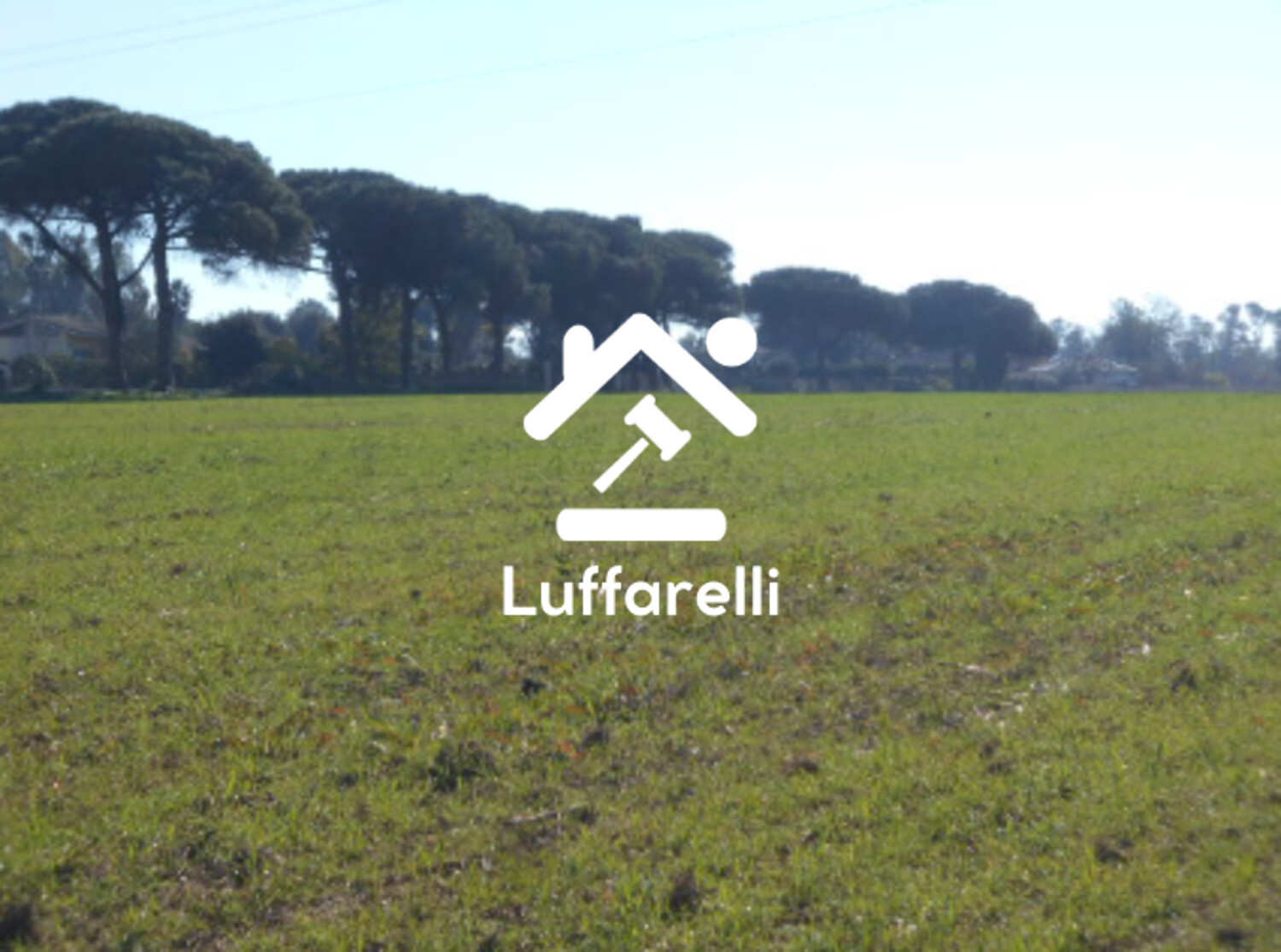 TERRENO AGRICOLO PRATI DI COPPOLA - LATINA — foto 4