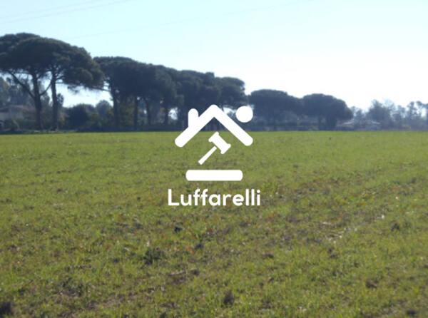TERRENO AGRICOLO PRATI DI COPPOLA - LATINA — foto 4