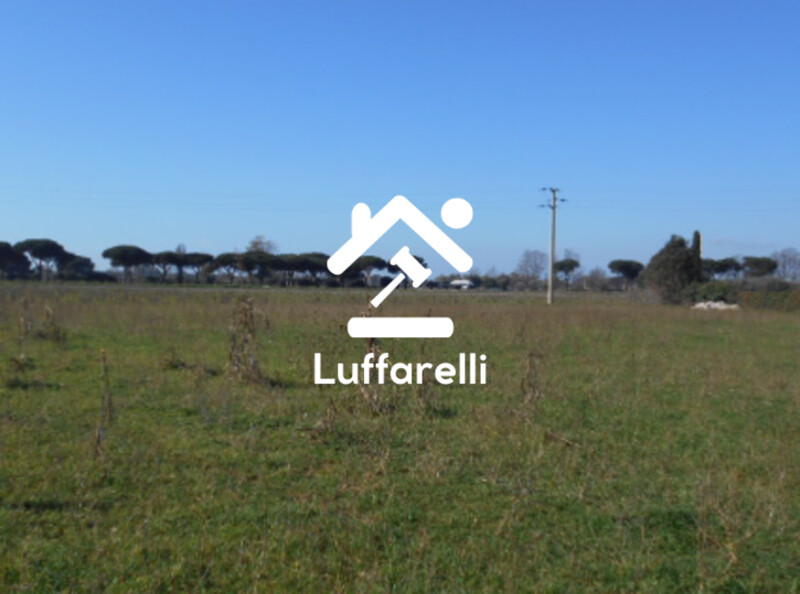 Immagine di TERRENO AGRICOLO PRATI DI COPPOLA – LATINA
