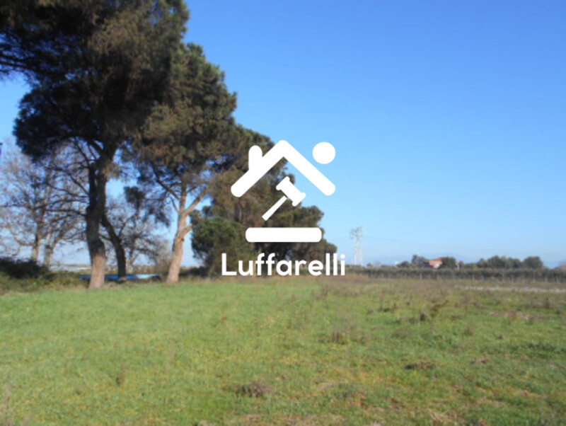 Immagine di TERRENO AGRICOLO PRATI DI COPPOLA – LATINA