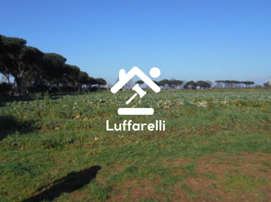Immagine di TERRENO AGRICOLO PRATI DI COPPOLA – LATINA