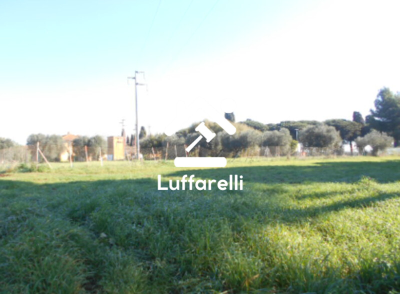 Immagine di TERRENO AGRICOLO PRATI DI COPPOLA – LATINA