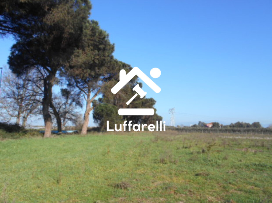 Immagine di TERRENO AGRICOLO PRATI DI COPPOLA – LATINA