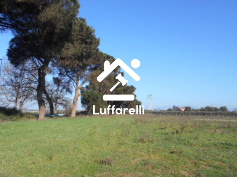 Immagine di TERRENO AGRICOLO PRATI DI COPPOLA – LATINA