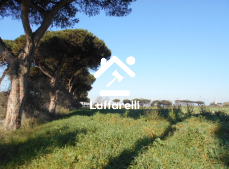 Immagine di TERRENO AGRICOLO PRATI DI COPPOLA – LATINA