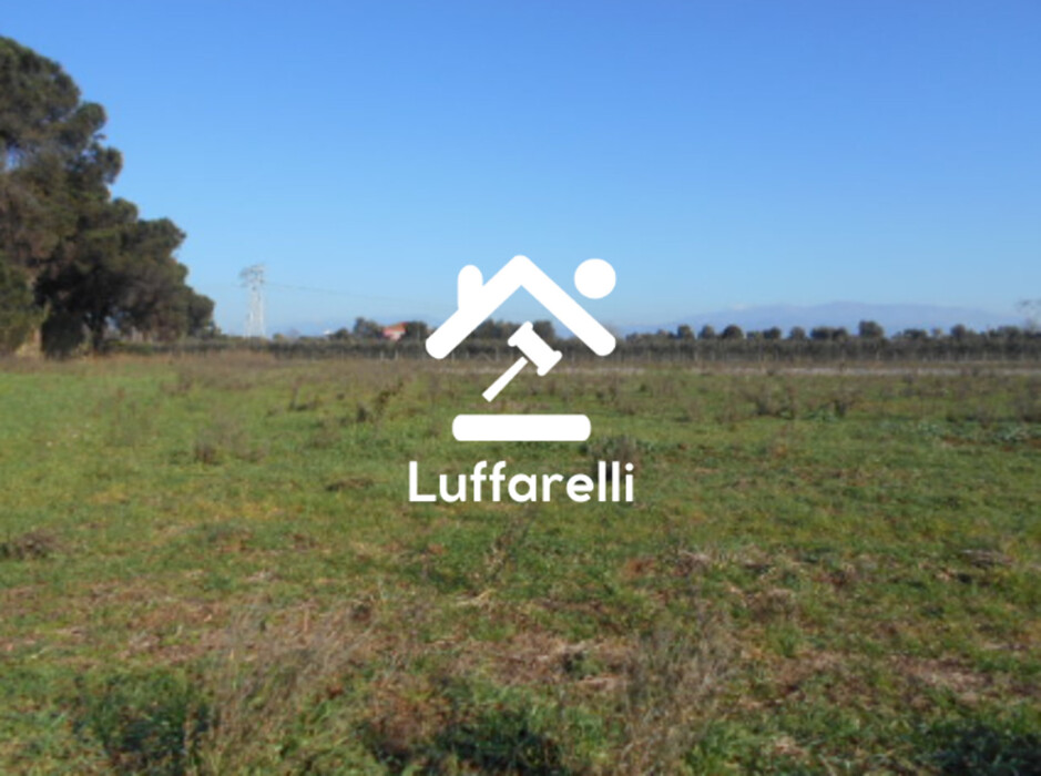 Immagine di TERRENO AGRICOLO PRATI DI COPPOLA – LATINA