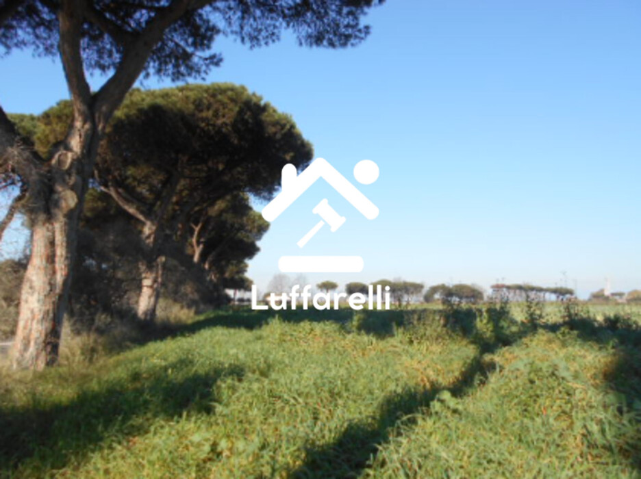 Immagine di TERRENO AGRICOLO PRATI DI COPPOLA – LATINA
