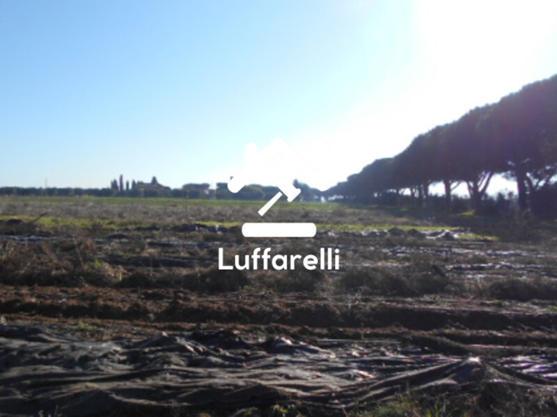 Immagine di TERRENO AGRICOLO PRATI DI COPPOLA – LATINA