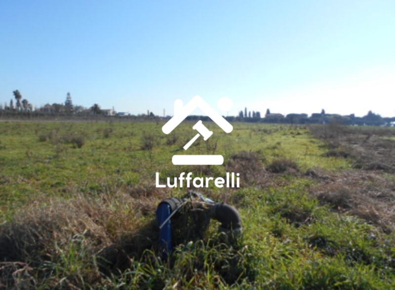 Immagine di TERRENO AGRICOLO PRATI DI COPPOLA – LATINA