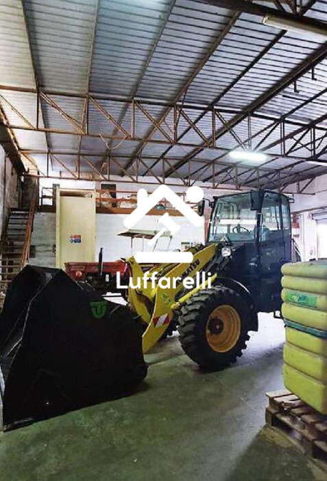 Immagine di IMPIANTO FOTOVOLTAICO E TERRENI VIA MAREMMANA – SABAUDIA(LT)