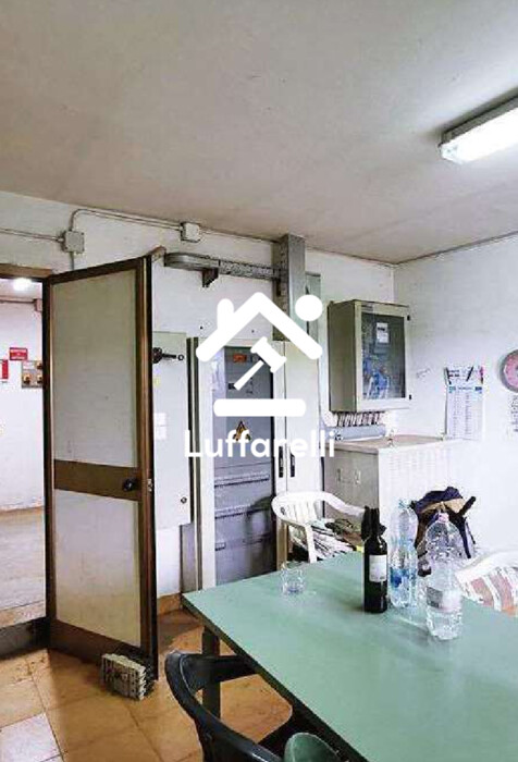 Immagine di IMPIANTO FOTOVOLTAICO E TERRENI VIA MAREMMANA – SABAUDIA(LT)