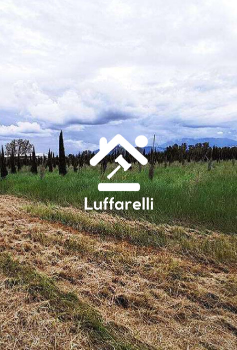 Immagine di IMPIANTO FOTOVOLTAICO E TERRENI VIA MAREMMANA – SABAUDIA(LT)