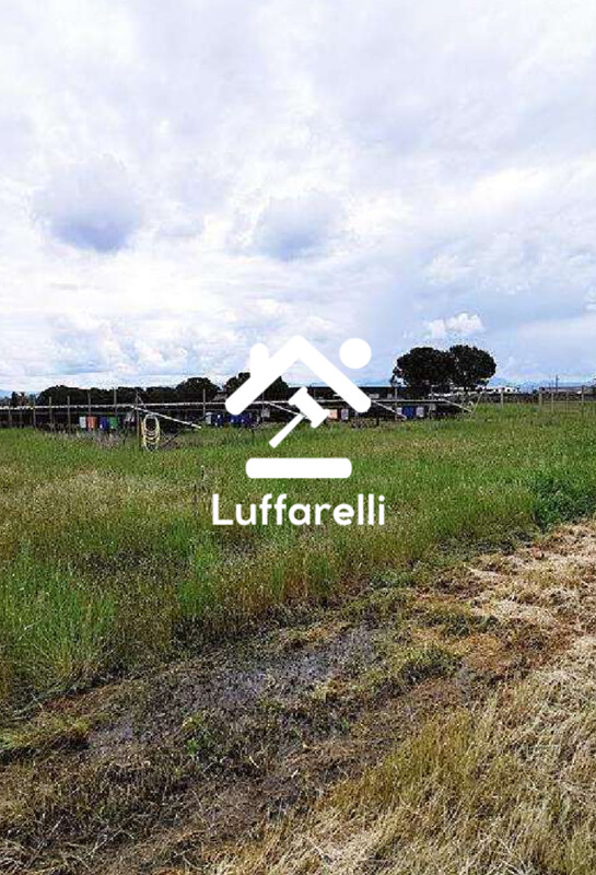 Immagine di IMPIANTO FOTOVOLTAICO E TERRENI VIA MAREMMANA – SABAUDIA(LT)