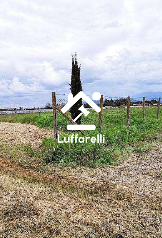 Immagine di IMPIANTO FOTOVOLTAICO E TERRENI VIA MAREMMANA – SABAUDIA(LT)