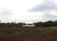 TERRENO LOC. COLONNELLE - GALLICANO NEL LAZIO (RM) — foto 4