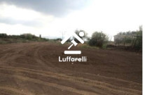 Immagine di TERRENO LOC. COLONNELLE – GALLICANO NEL LAZIO (RM)