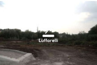 Immagine di TERRENO LOC. COLONNELLE – GALLICANO NEL LAZIO (RM)