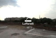 Immagine di TERRENO LOC. COLONNELLE – GALLICANO NEL LAZIO (RM)