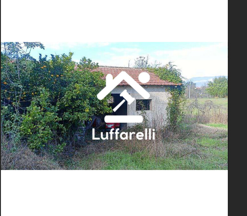 Immagine di APPARTAMENTO SP52 – PONTECORVO