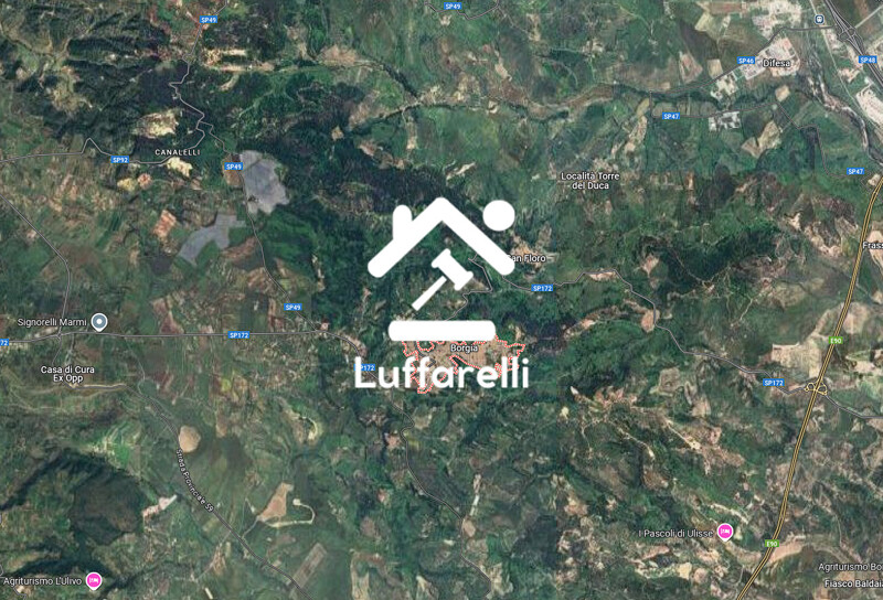 Immagine di TERRENO LOC. TESTA DI LUPO – BORGIA