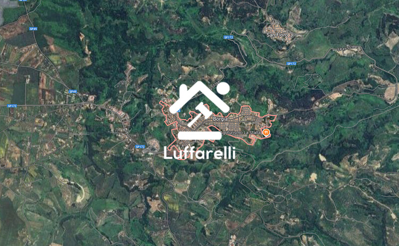 Immagine di TERRENO LOC. TESTA DI LUPO – BORGIA