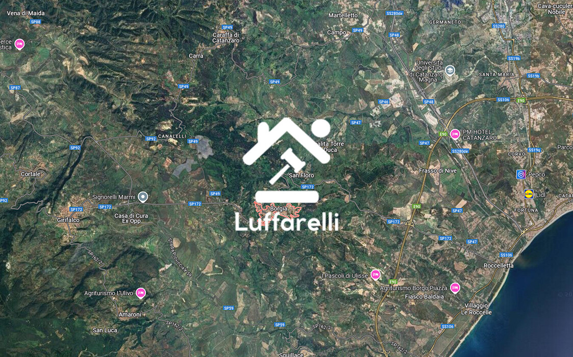 Immagine di TERRENO LOC. TESTA DI LUPO – BORGIA
