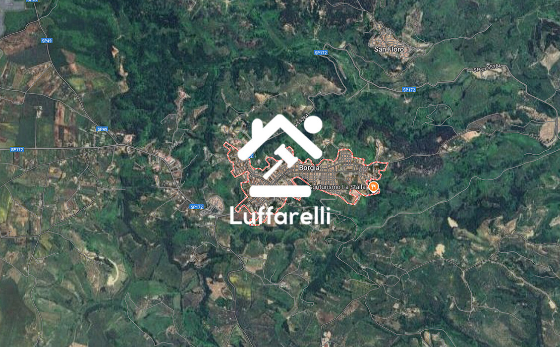 Immagine di TERRENO LOC. TESTA DI LUPO – BORGIA