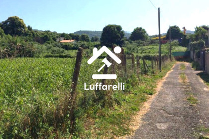 Immagine di TERRENO VIA COLLE DELLA CASTAGNA – SAN CESAREO (RM)