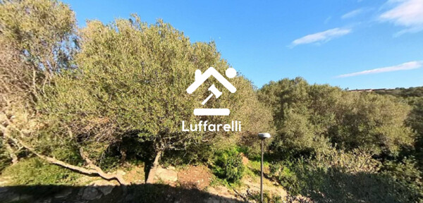 TERRENO E CAPANNONE AGRICOLO - SANTO STEFANO - QUISQUINA (AG) — foto 5