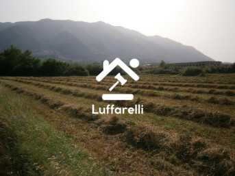 Immagine di TERRENI VIA DELL’OSTERIA – MOROLO (FR)