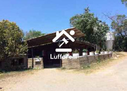 Immagine di AZIENDA AGRICOLA VIA LAGO DI MARTIGNANO – ROMA