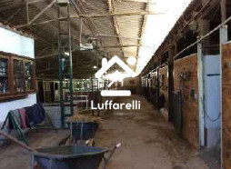 Immagine di AZIENDA AGRICOLA VIA LAGO DI MARTIGNANO – ROMA