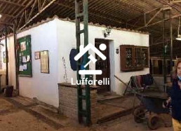 Immagine di AZIENDA AGRICOLA VIA LAGO DI MARTIGNANO – ROMA