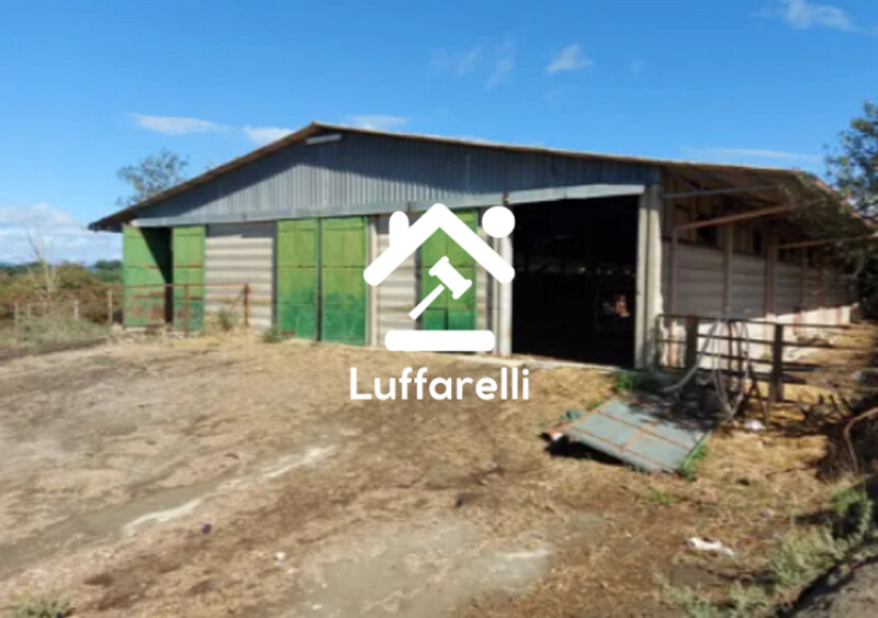 Immagine di AZIENDA AGRICOLA VIA LAGO DI MARTIGNANO – ROMA